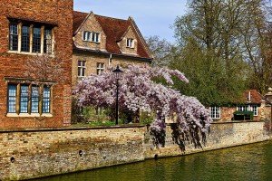 cambridge