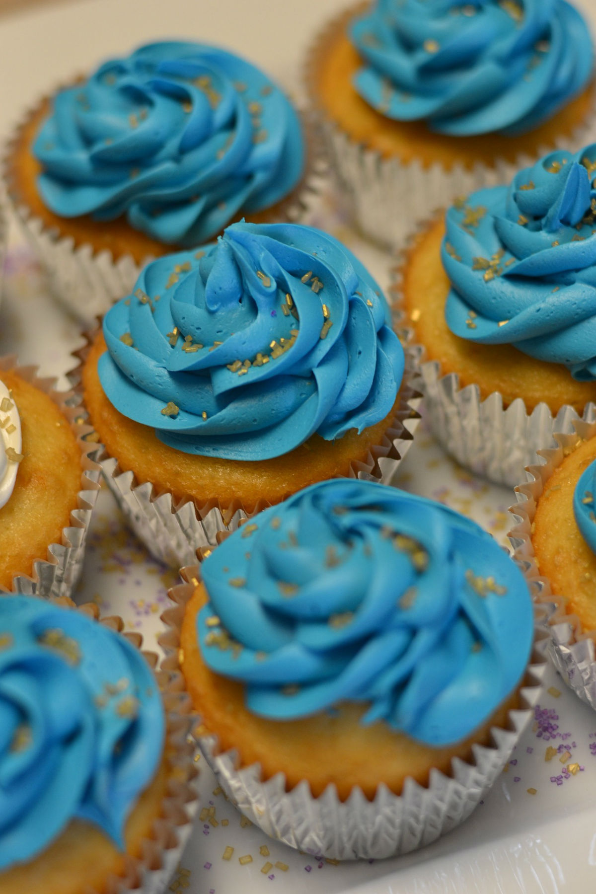 cupcake bleu