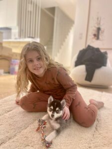 Chien Pomsky avec une petite fille