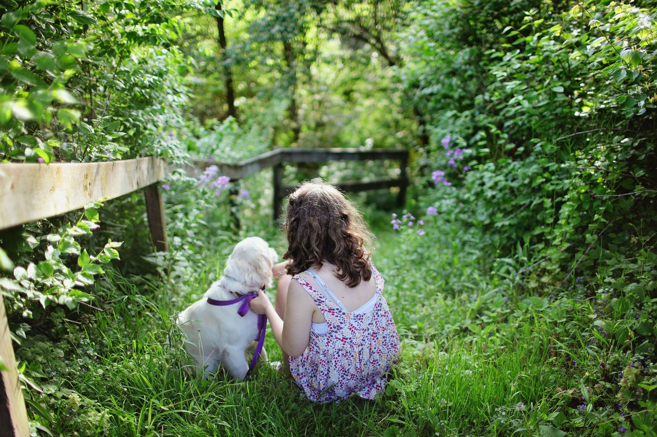 enfant et chien