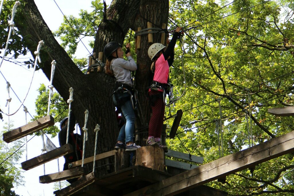 accro branche parcours aventure enfant