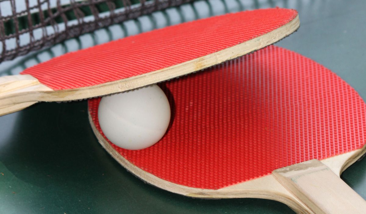 Raquette de ping-pong avec housse de protection : Commandez sur  Techni-Contact - Raquette tennis de table