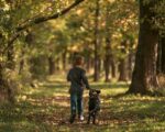 Une randonnée avec un chien