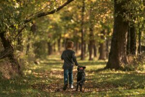 Une randonnée avec un chien