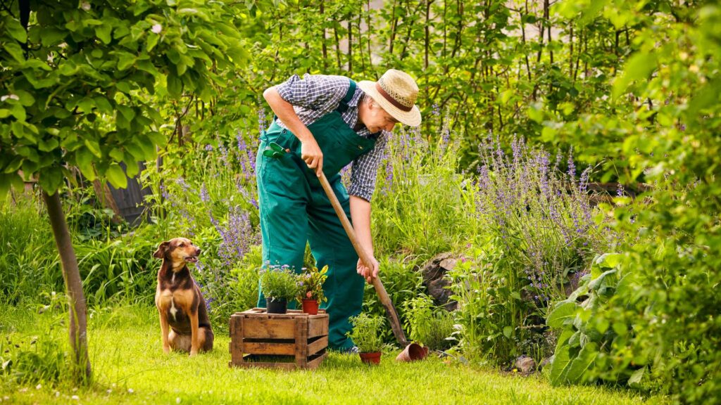 Un chien dans un jardin