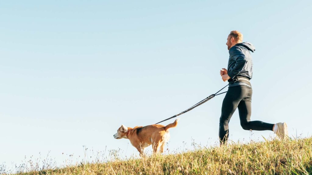 Un exercice pour chien