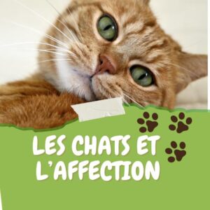 chat affection